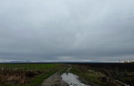 Investitii, teren 76110 mp, cu complex zootehnic, Exterior Est