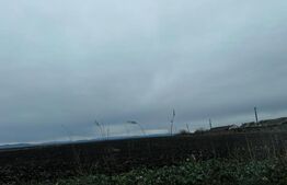 Investitii, teren 76110 mp, cu complex zootehnic, Exterior Est