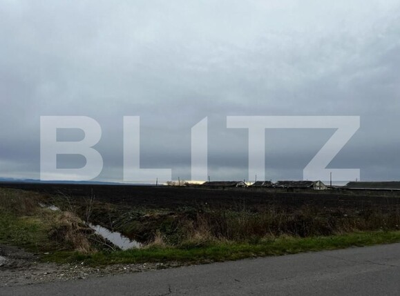 Teren de vânzare Exterior Est - 140055TV | BLITZ Timișoara | Poza6