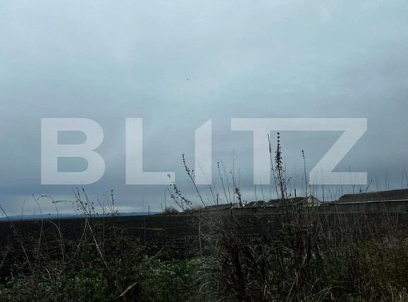 Teren de vânzare Exterior Est - 140055TV | BLITZ Timișoara | Poza3