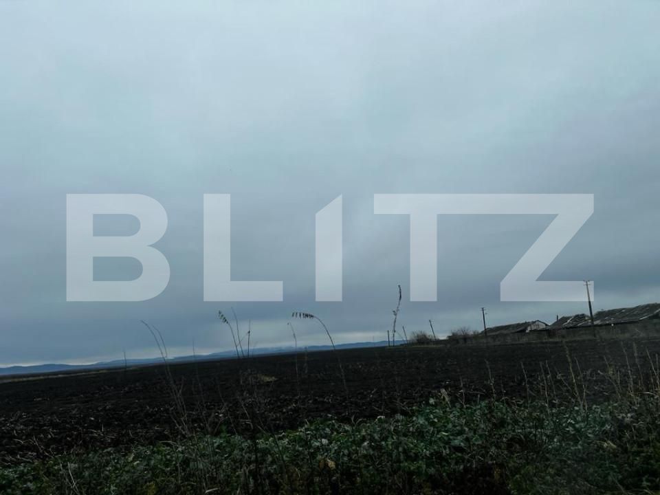 Teren de vânzare Exterior Est - 140055TV | BLITZ Timișoara | Poza5