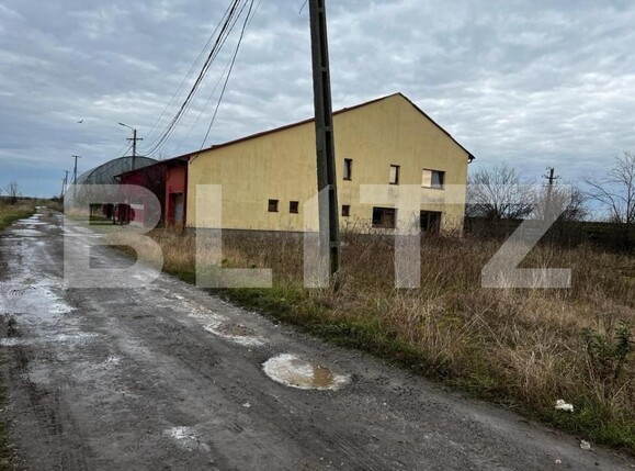 Casa de vânzare 4 camere Nord-Vest - 140063CV | BLITZ Timișoara | Poza1