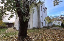 Oportunitate, vila sediu de birouri, 580 mp, 3504 mp teren, Iosefin