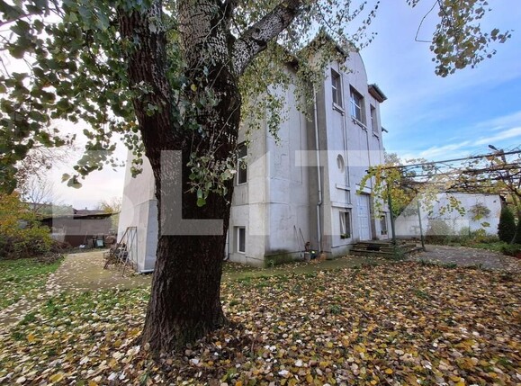 Casa de vânzare 14 camere Iosefin - 140064CV | BLITZ Timișoara | Poza8