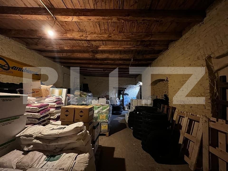 Casa de vânzare 14 camere Iosefin - 140064CV | BLITZ Timișoara | Poza11