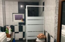 Ocazie, superba in Sag, teren 1000 mp, 4 dormitoare suprafata utila 300 mp