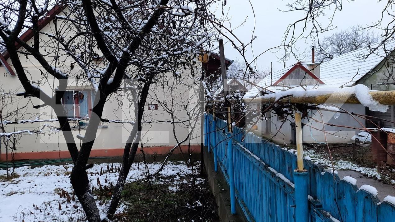 Casa de vânzare 2 camere Calea Urseni - 140066CV | BLITZ Timișoara | Poza3