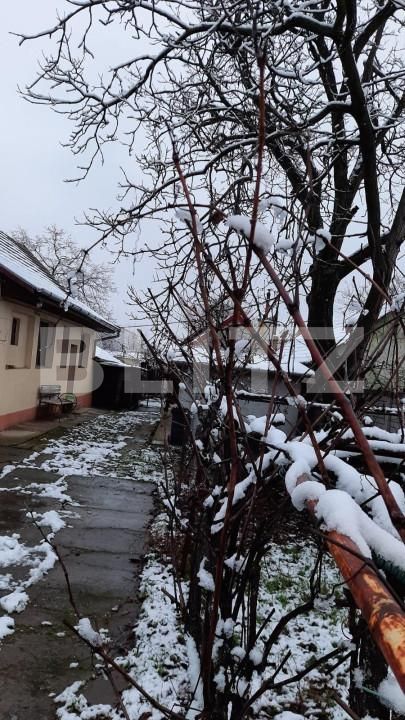 Casa de vânzare 2 camere Calea Urseni - 140066CV | BLITZ Timișoara | Poza4