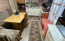 Ocazie, proprietate mare de vanzare in Timisoara!