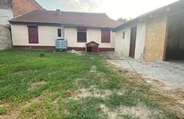 Ocazie, proprietate mare de vanzare in Timisoara!