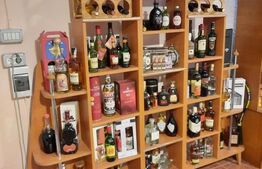 Ocazie, proprietate mare de vanzare in Timisoara!