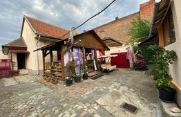 Ocazie, proprietate mare de vanzare in Timisoara!