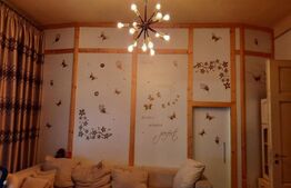 Ocazie, proprietate mare de vanzare in Timisoara!