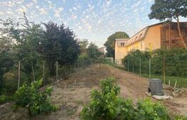 Ocazie, proprietate mare de vanzare in Timisoara!