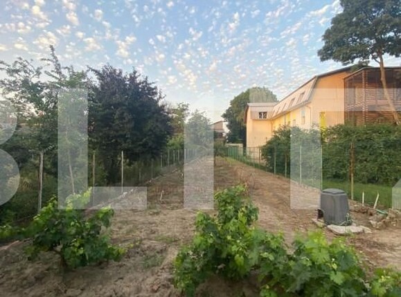 Casa de vânzare 5 camere Iosefin - 140067CV | BLITZ Timișoara | Poza6