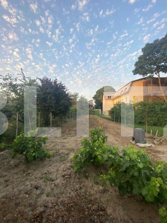 Casa de vânzare 5 camere Iosefin - 140067CV | BLITZ Timișoara | Poza6