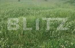 Teren de vânzare Sagului - 140071TV | BLITZ Timișoara | Poza2