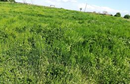 Investitie, ferma mare, vila, hale depozitare+9 Ha teren intravilan!