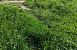 Investitie, ferma mare, vila, hale depozitare+9 Ha teren intravilan!