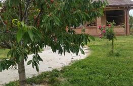 Investitie, ferma mare, vila, hale depozitare+9 Ha teren intravilan!