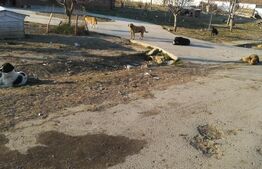 Investitie, ferma mare, vila, hale depozitare+9 Ha teren intravilan!