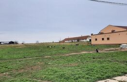 Investitie, ferma mare, vila, hale depozitare+9 Ha teren intravilan!