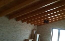 Investitie, ferma mare, vila, hale depozitare+9 Ha teren intravilan!