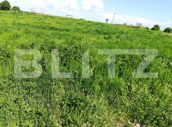 Teren de vânzare Exterior Vest - 140072TV | BLITZ Timișoara | Poza3