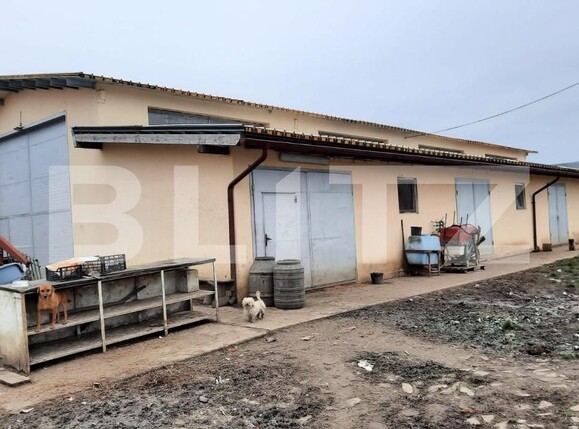 Teren de vânzare Exterior Vest - 140072TV | BLITZ Timișoara | Poza5