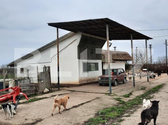 Teren de vânzare Exterior Vest - 140072TV | BLITZ Timișoara | Poza14