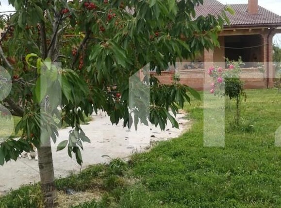 Teren de vânzare Exterior Vest - 140072TV | BLITZ Timișoara | Poza1