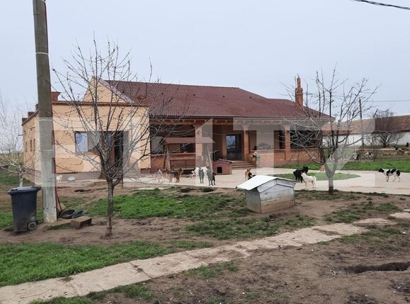 Teren de vânzare Exterior Vest - 140072TV | BLITZ Timișoara | Poza6