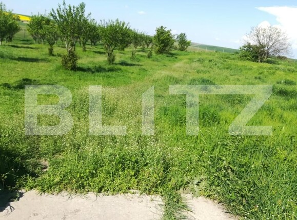 Teren de vânzare Exterior Vest - 140072TV | BLITZ Timișoara | Poza15