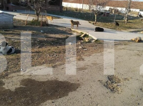 Teren de vânzare Exterior Vest - 140072TV | BLITZ Timișoara | Poza8