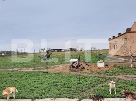 Teren de vânzare Exterior Vest - 140072TV | BLITZ Timișoara | Poza10