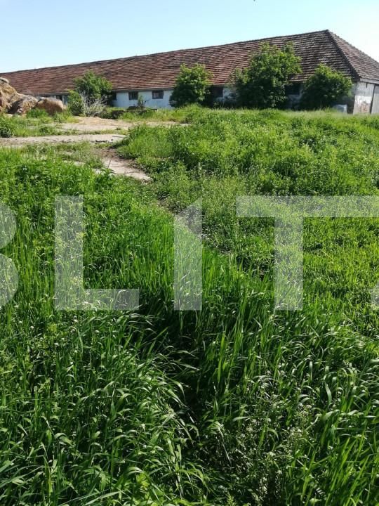 Teren de vânzare Exterior Vest - 140072TV | BLITZ Timișoara | Poza9