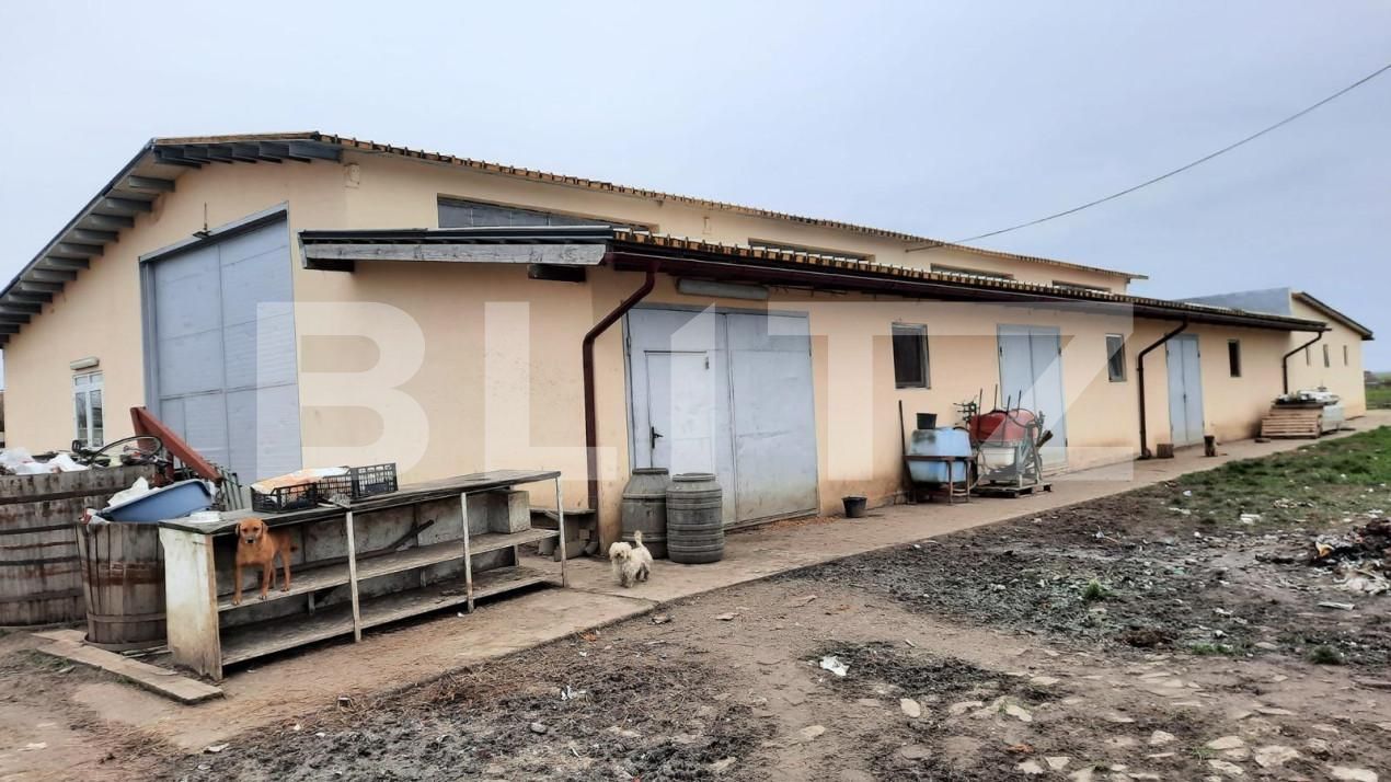 Teren de vânzare Exterior Vest - 140072TV | BLITZ Timișoara | Poza5