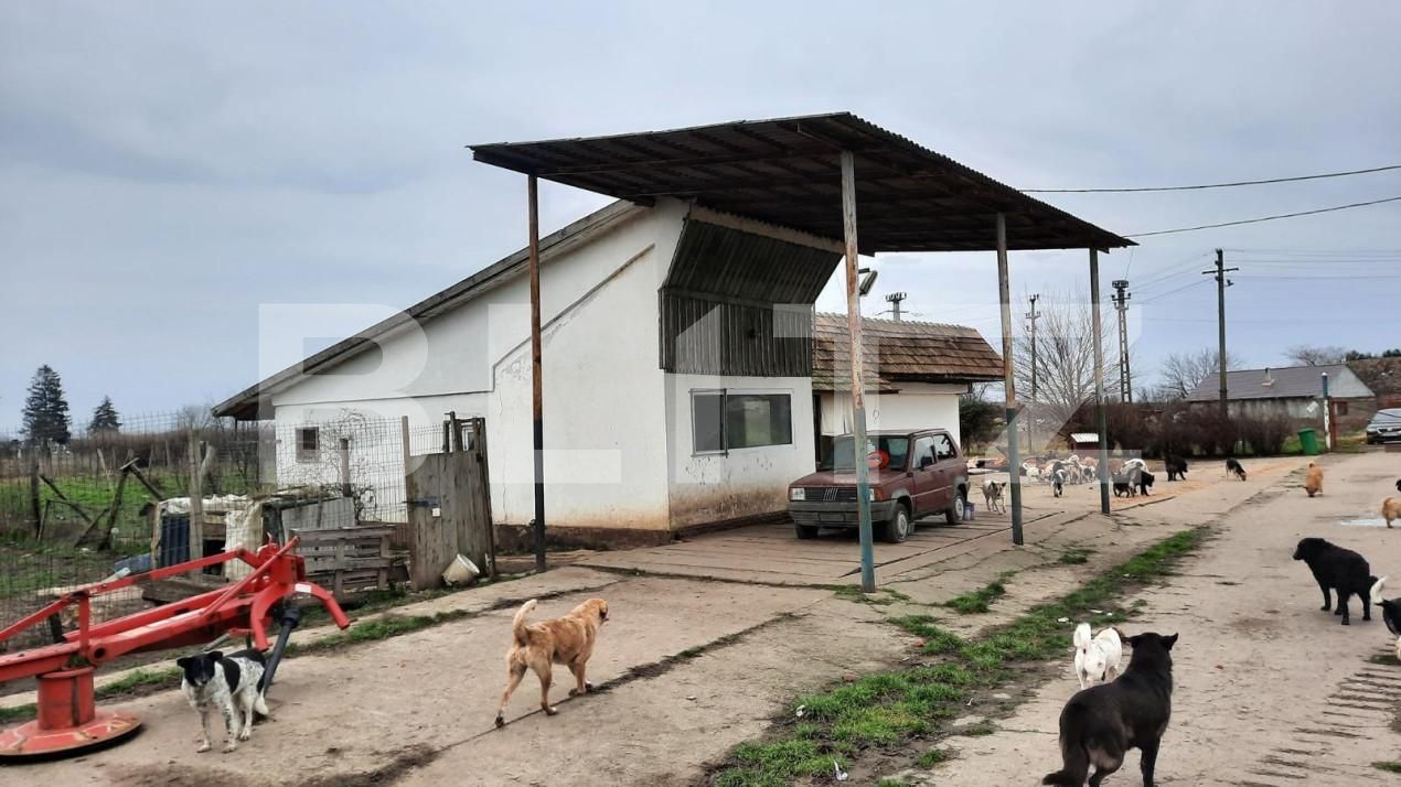 Teren de vânzare Exterior Vest - 140072TV | BLITZ Timișoara | Poza14