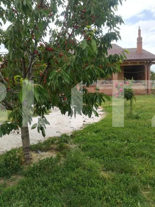 Teren de vânzare Exterior Vest - 140072TV | BLITZ Timișoara | Poza1