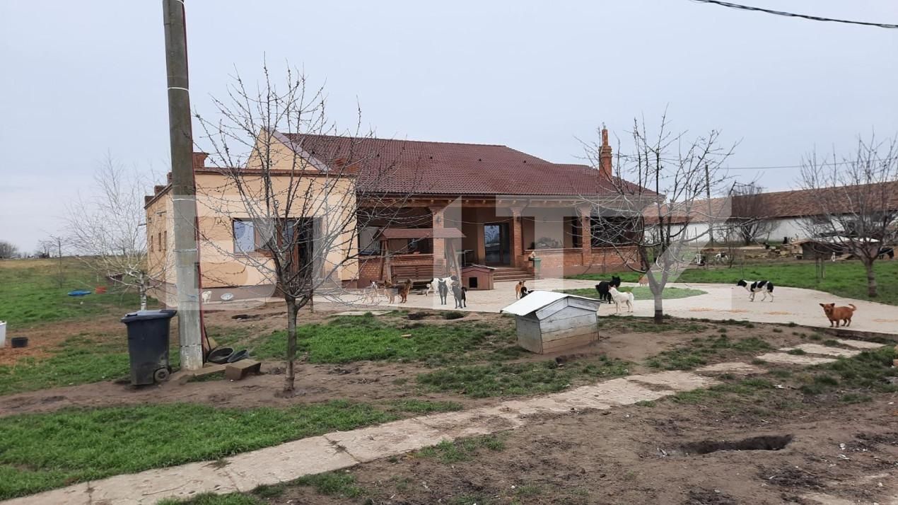 Teren de vânzare Exterior Vest - 140072TV | BLITZ Timișoara | Poza6