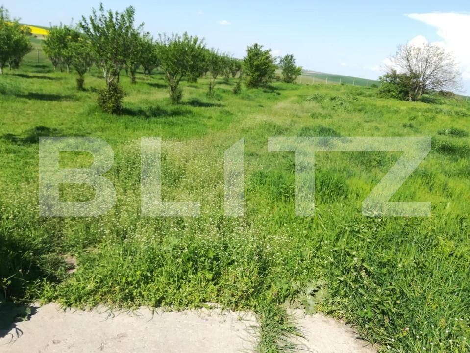 Teren de vânzare Exterior Vest - 140072TV | BLITZ Timișoara | Poza15