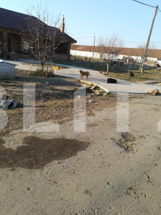 Teren de vânzare Exterior Vest - 140072TV | BLITZ Timișoara | Poza8