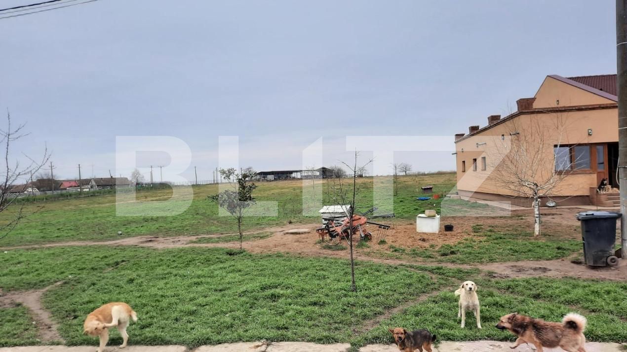 Teren de vânzare Exterior Vest - 140072TV | BLITZ Timișoara | Poza10