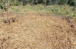 Ocazie, 1300 mp parcela intravilan, Mehala-Timisoara