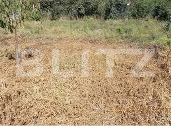 Teren de vânzare Mehala - 140073TV | BLITZ Timișoara | Poza4