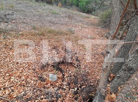 Teren de vânzare Mehala - 140073TV | BLITZ Timișoara | Poza3