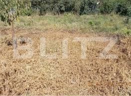 Teren de vânzare Mehala - 140073TV | BLITZ Timișoara | Poza4