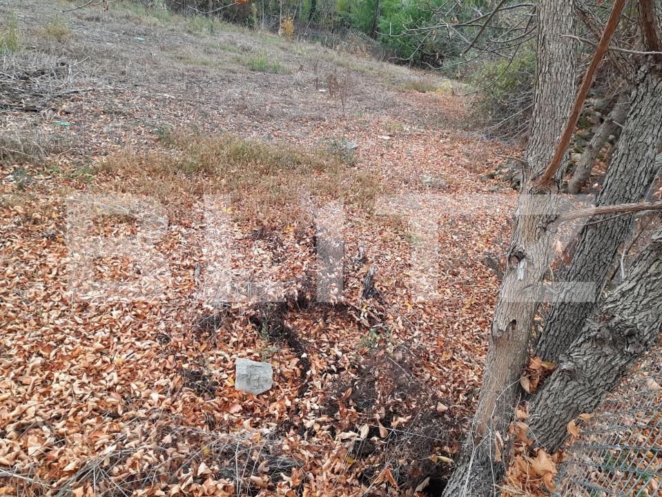 Teren de vânzare Mehala - 140073TV | BLITZ Timișoara | Poza3