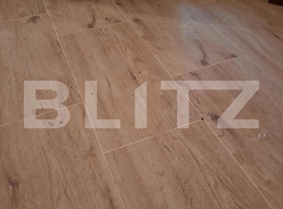 Casa de vânzare 5 camere Torontalului - 140075CV | BLITZ Timișoara | Poza2