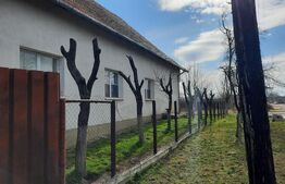 Casa mare, solida, cu teren mult de vanzare in Biled!